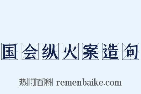 国会纵火案造句是什么意思的图片